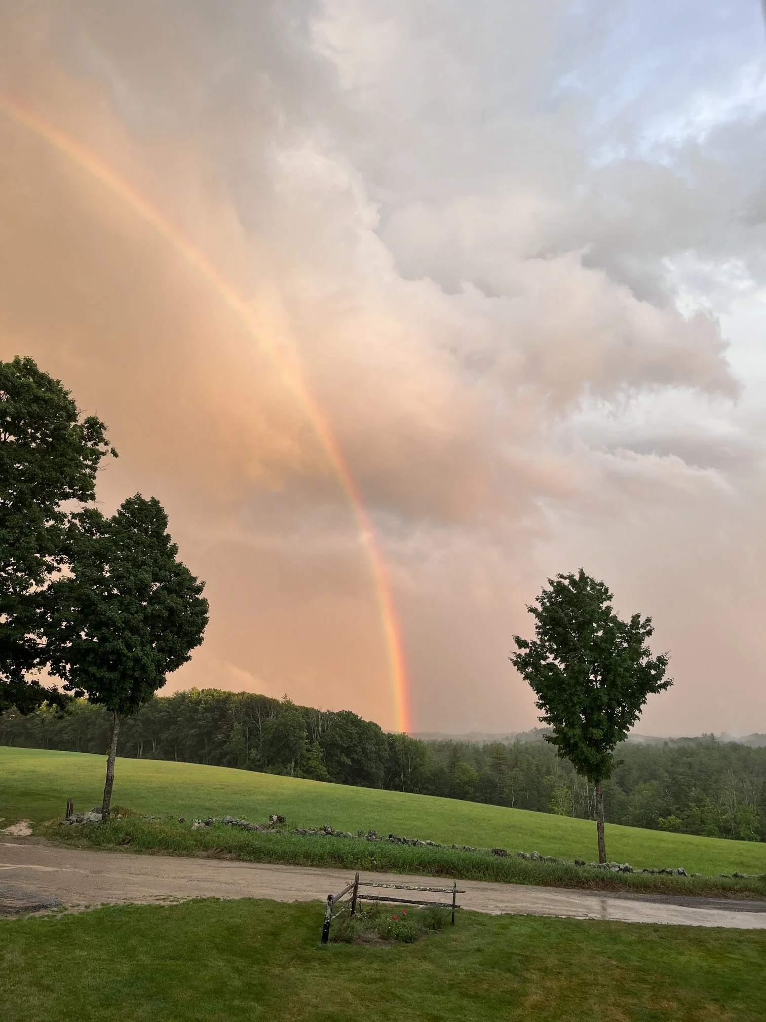 A scenic landscape with trees, green grass, and a rainbow in a cloudy sky after rain.