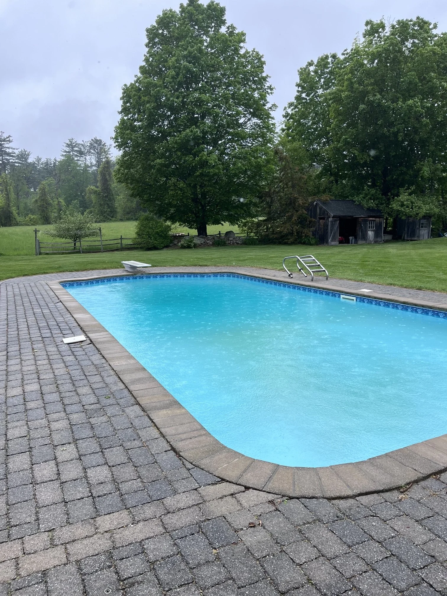 Photo of a backyard swimming pool with a ladder, trees in the background, a small shed, and a lounging chair, on a rainy day.
