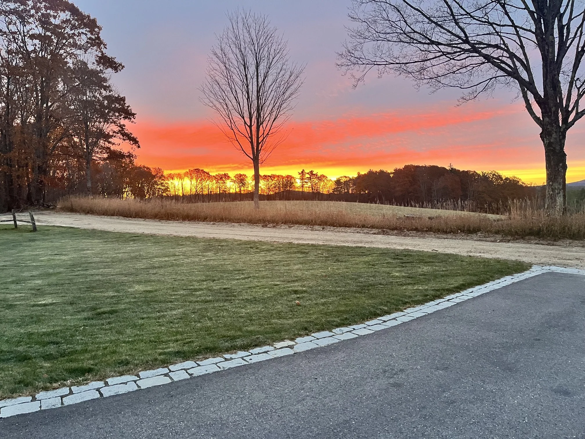 A scenic sunset over a field with leafless trees silhouetted against a colorful sky.
