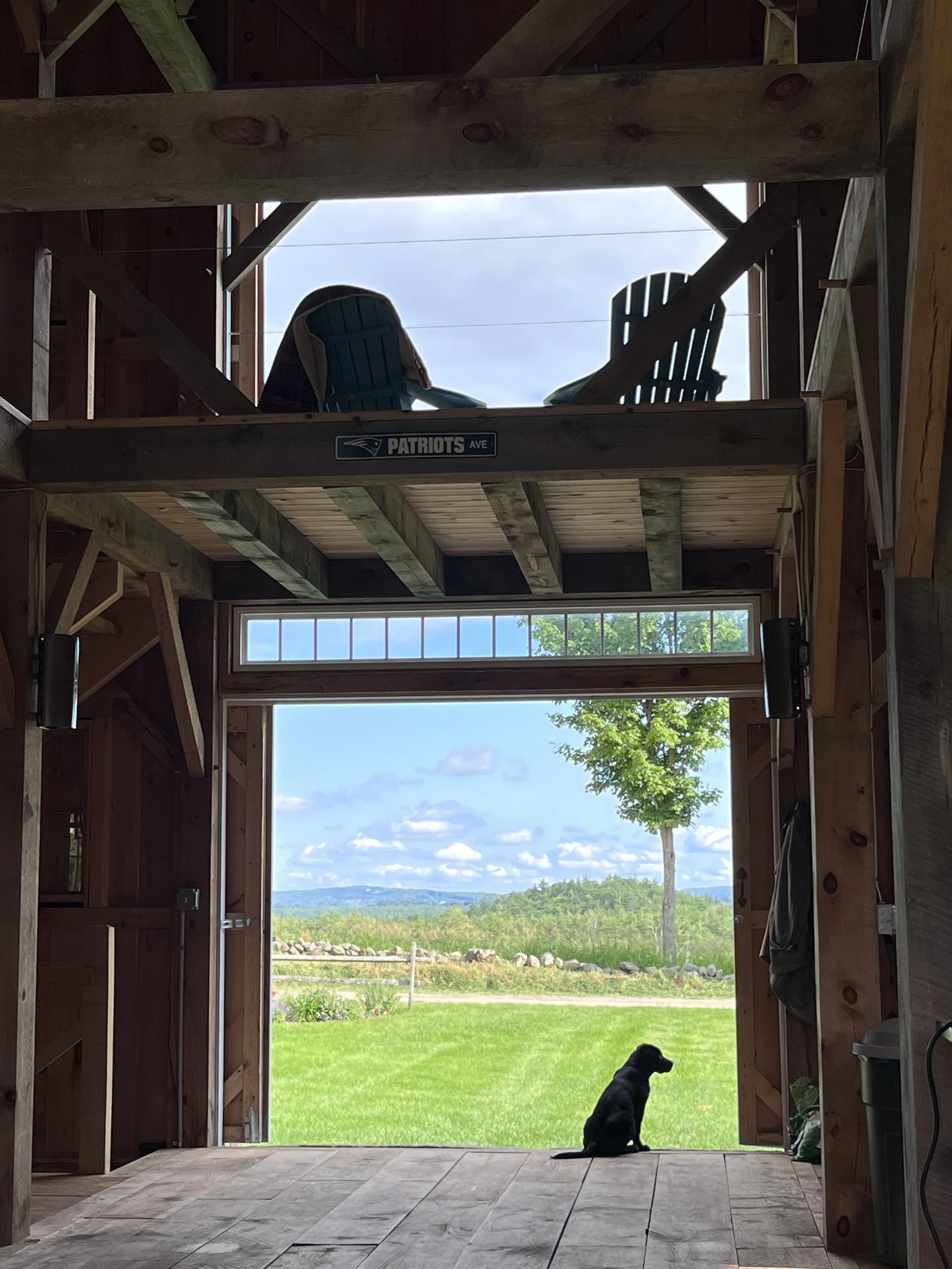 View from inside a partially constructed wooden building, looking out through an open doorway at a grassy yard with a single tree and a clear blue sky with scattered clouds.