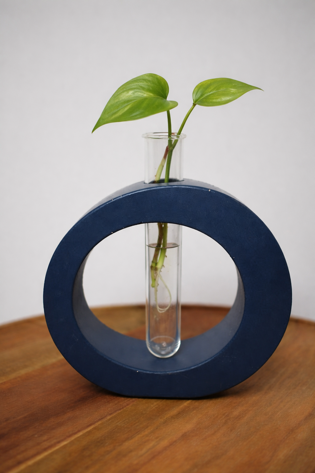 Propagation Vase