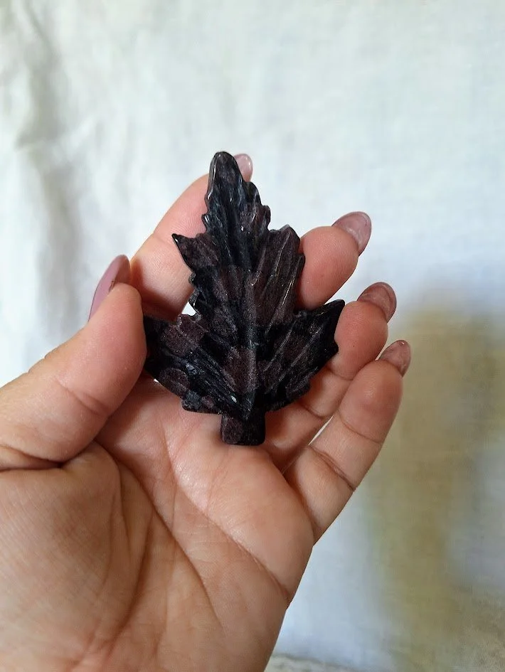 20260618_184808.jpg