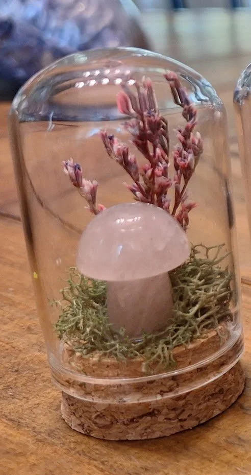 Mushy Terrarium (For Cari)