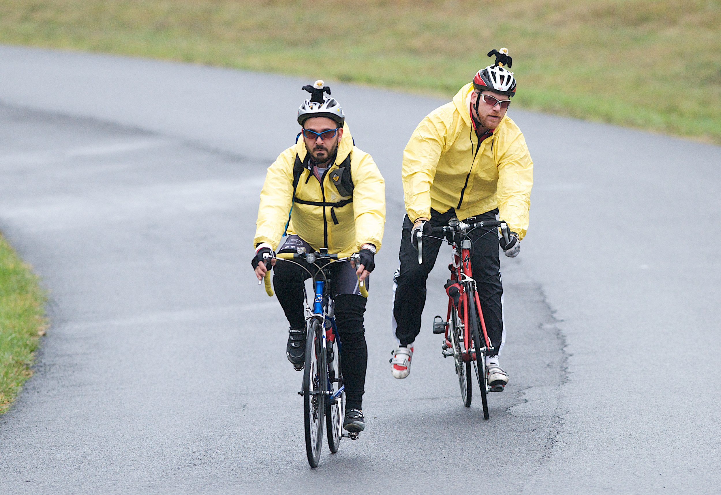 386293861__gsc7197 - version 2.jpg