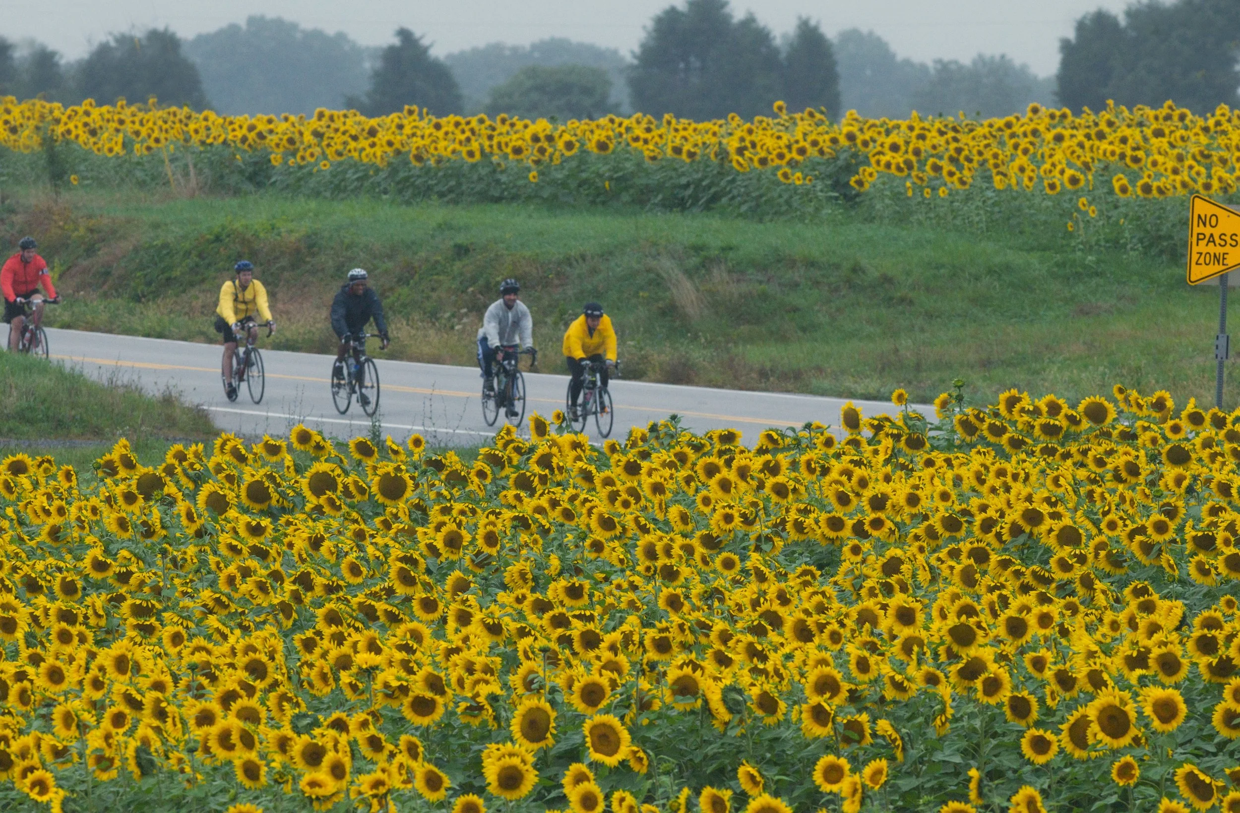 386357906__gsc7294 - version 2.jpg