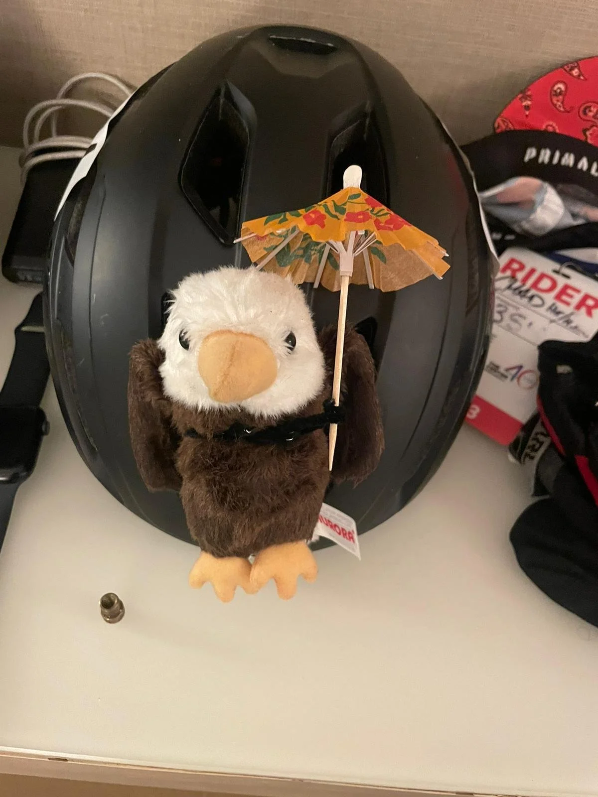 WhatsApp Image 2023-09-29 at 21.06.47_2590d99c.jpg