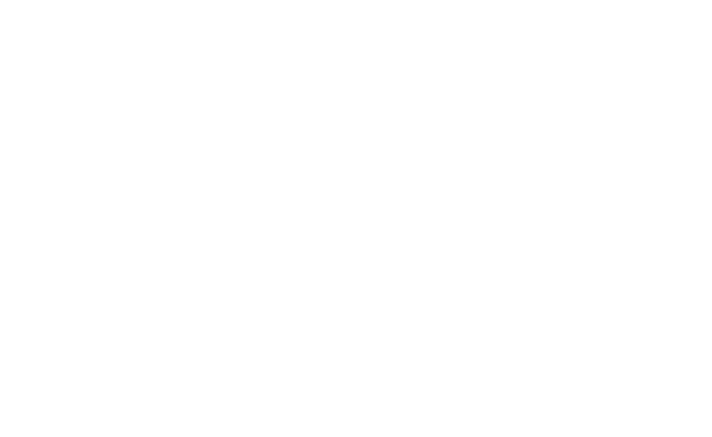 Team Eagle NY (Copy)