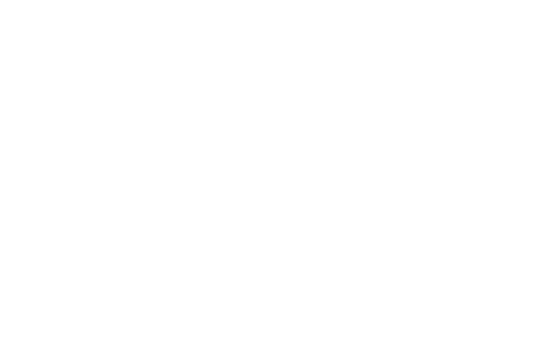 Team Eagle NYC
