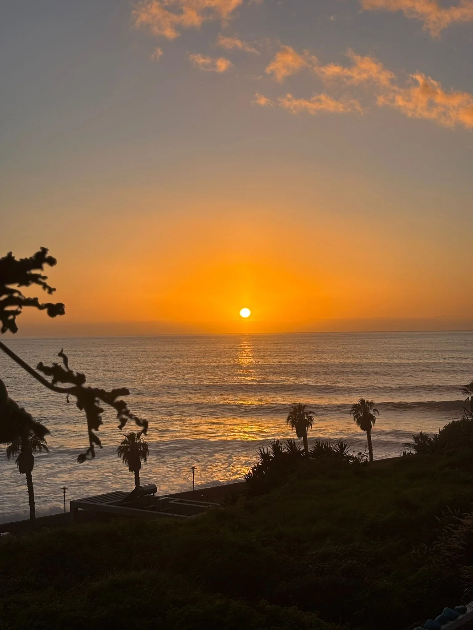 Sunset over the ocean with palm trees and a few clouds in the sky.