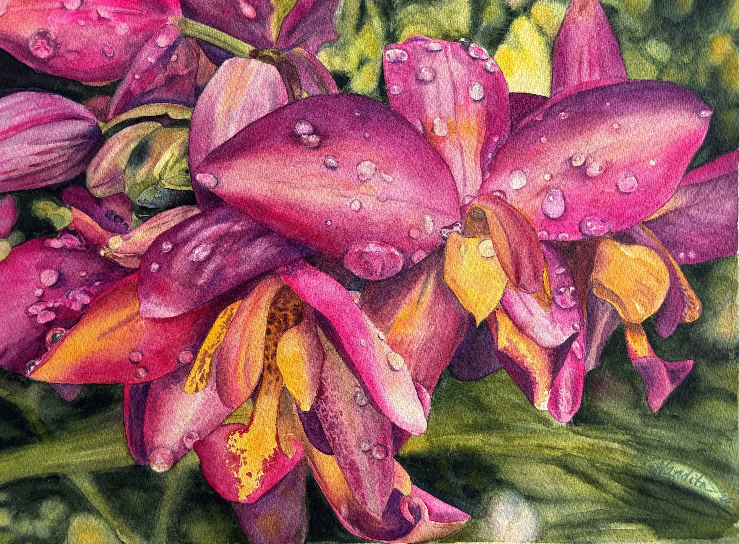Orchid I, Dewdrop Blessings