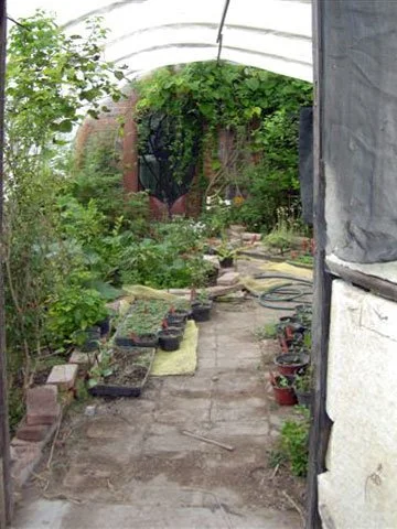 Garden path inside a greenhouse with plants and gardening supplies.