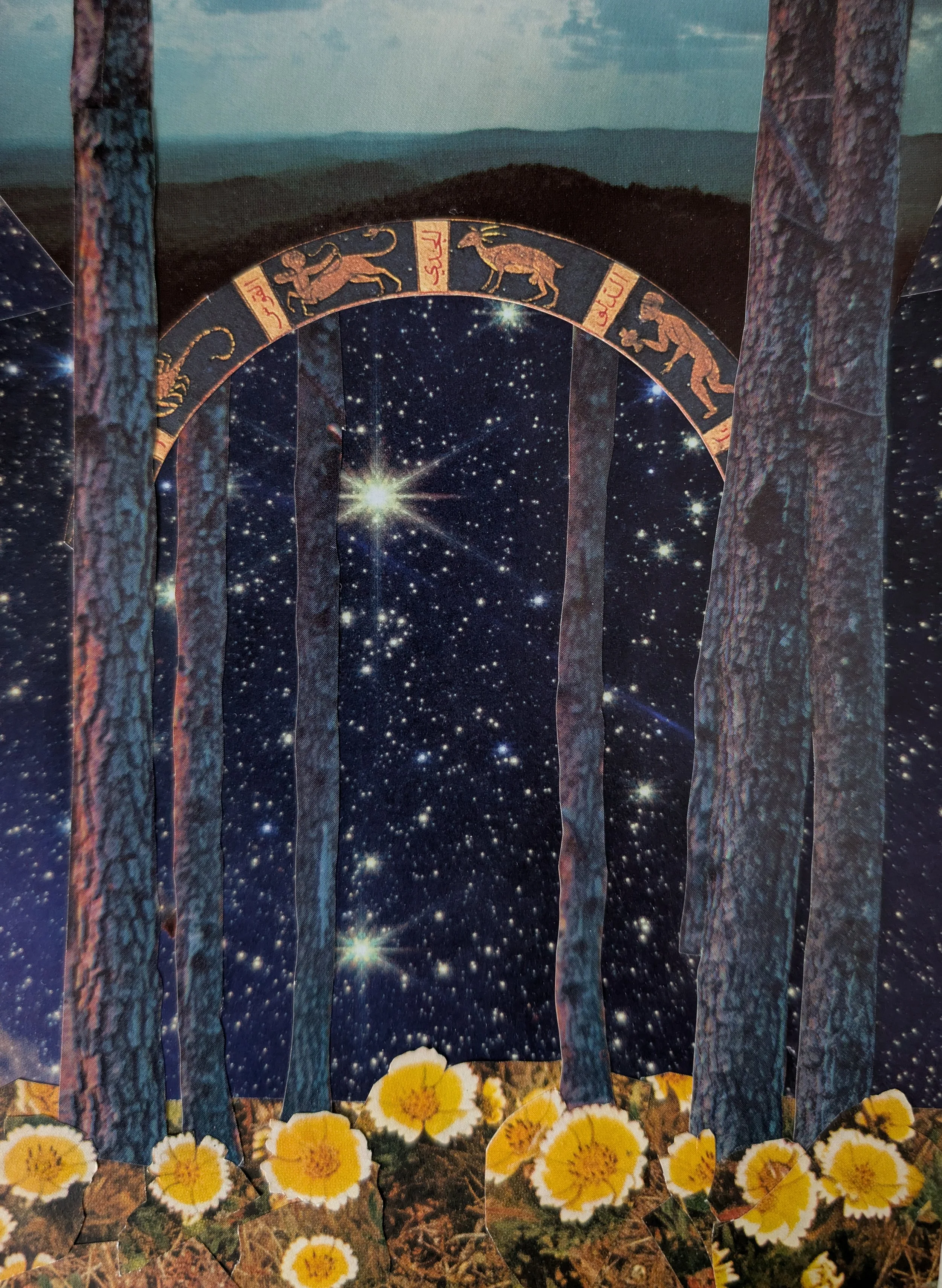zodiacI_02.jpg