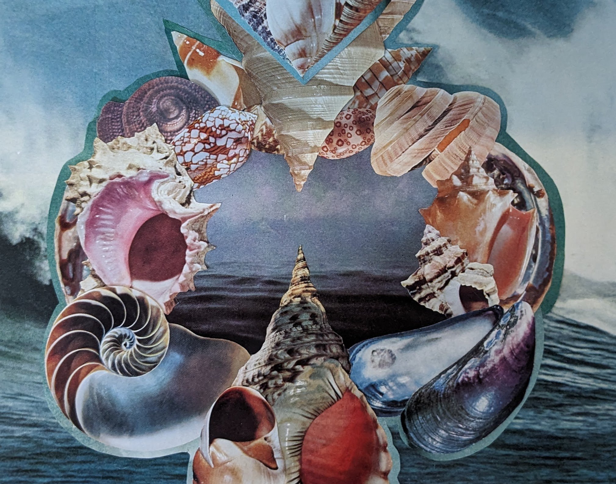 shells.jpg