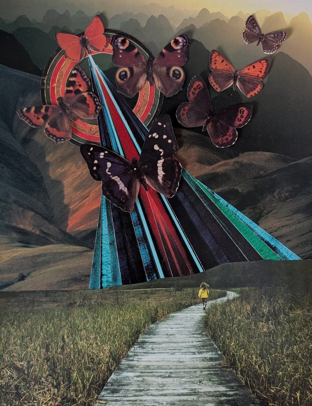 Papillon.jpg