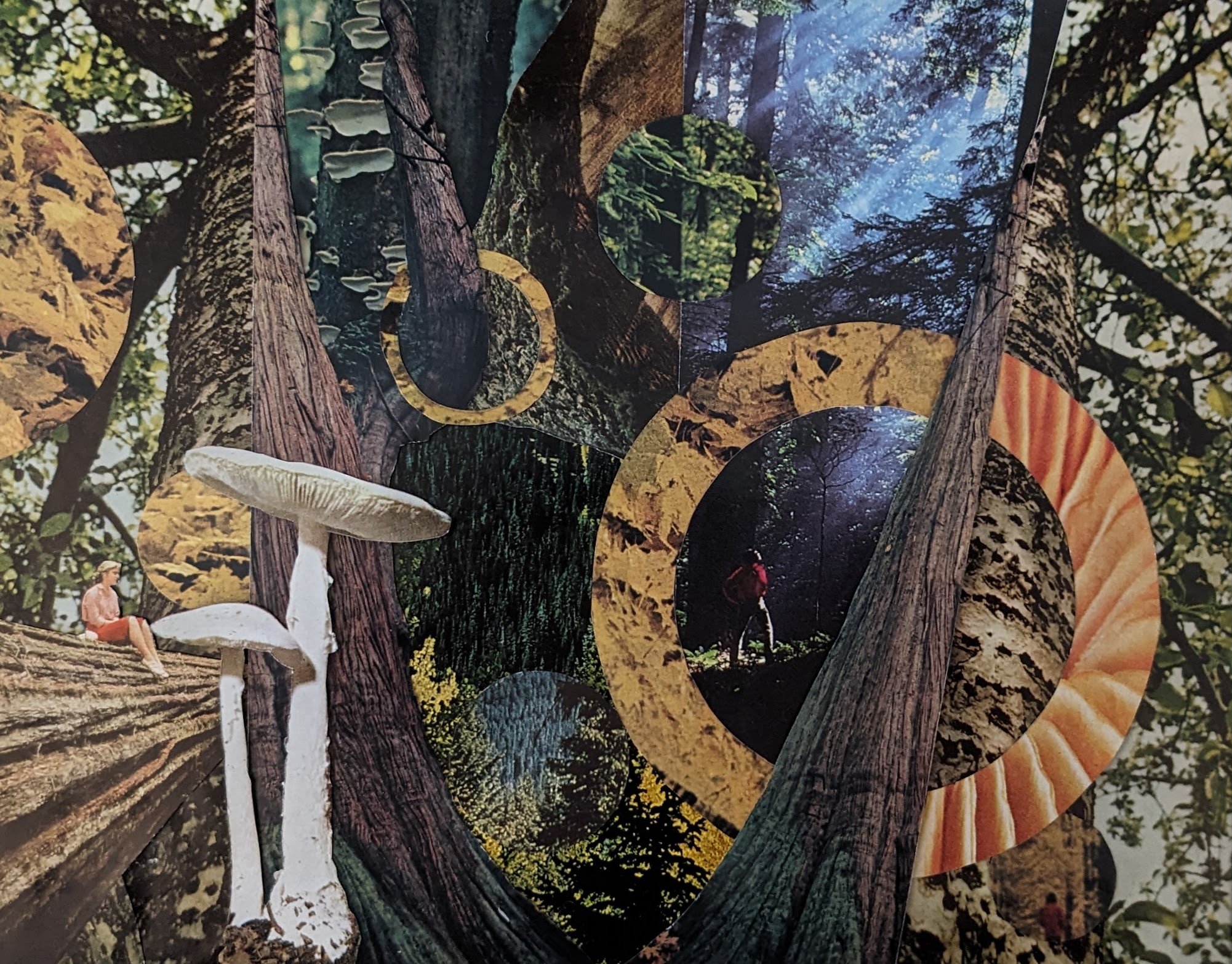 odetonature.jpg