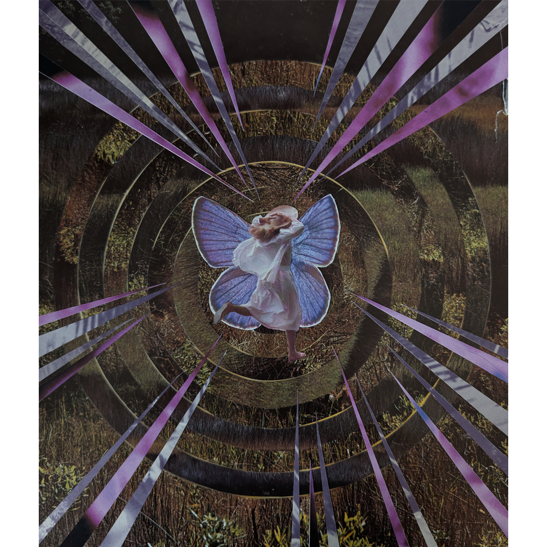 Metamorphosis