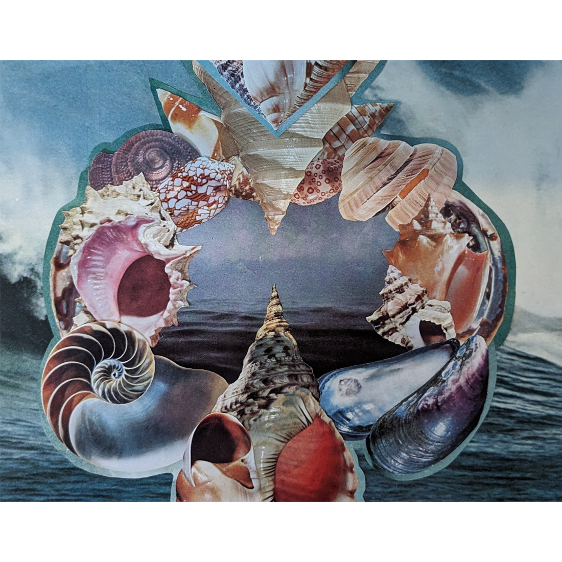 Shells