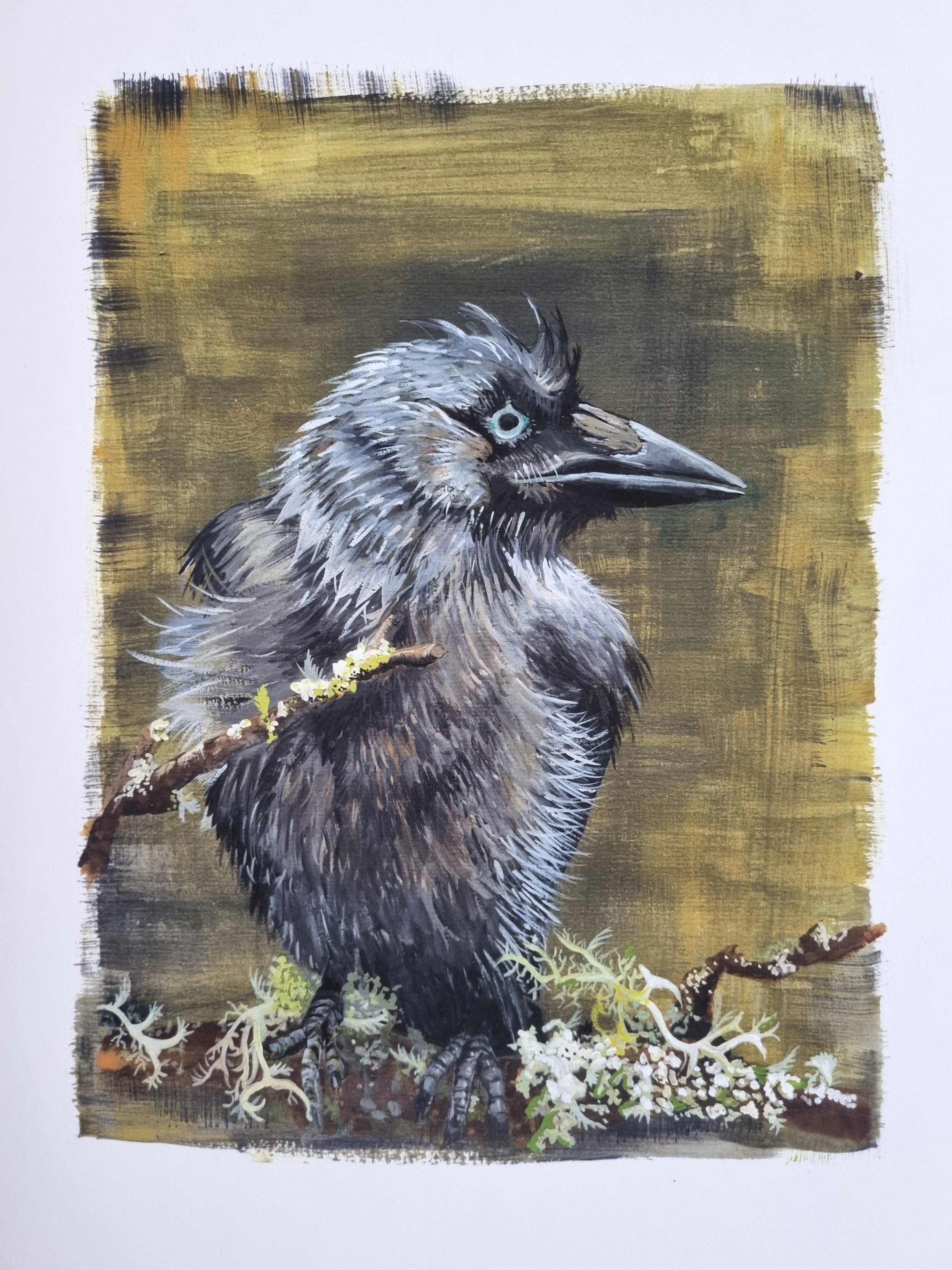 Edgar

This original A4 gouache painting explores the character and quiet intelligence of the jackdaw. With a slightly gothic feel, the piece sits between stylisation and realism, allowing both atmosphere and detail to come through.

I’ve always been