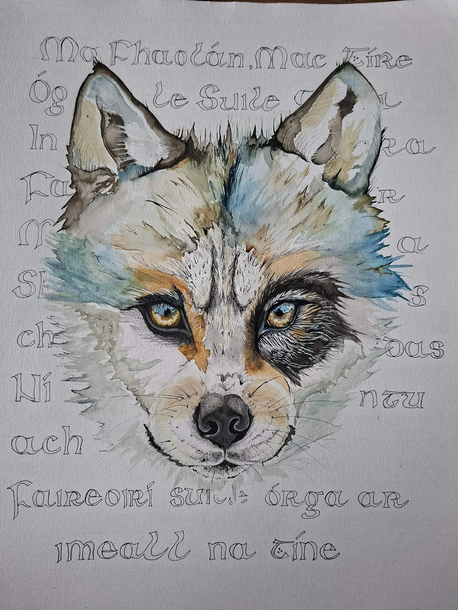 “Cu” €350-SOLD |  A3 Mix Media.

A young wolf emerges from soft layers of colour, its gaze direct and watchful. Surrounding it, fragments of Irish text reference folklore in which wolves were not feared, but honoured—guardians of the land and protect