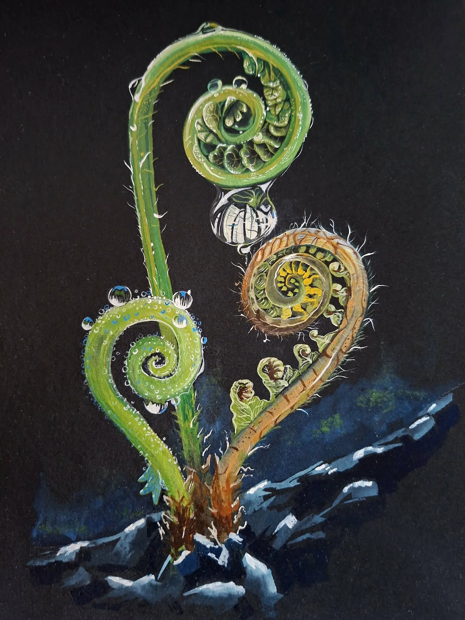 SOLD-€220
"Growth"

A4 Original Highly detailed artwork.
No prints made. Includes standard Black box frame, plus free postage in Ireland or €10 postage to U.K and Europe.
Enquiries welcome for other destinations
"Growth"

A study of unfurling fern fr