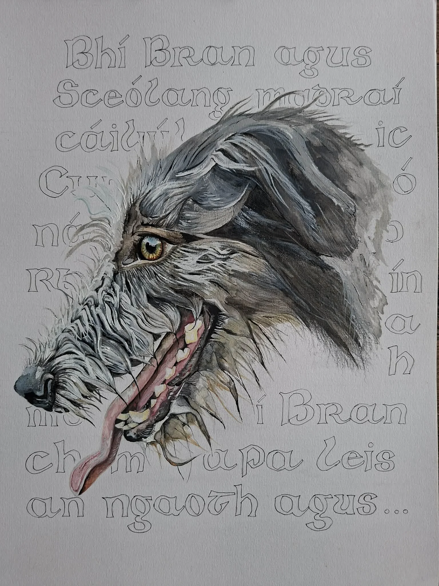 “Bran” (SOLD) €400 A3 | Mix Media
A wolfhound mid-motion, tongue lolling, breath and movement captured in loose, expressive strokes. The piece carries a sense of vitality untamed, immediate, and full of character.

Fragments of Irish text surround th