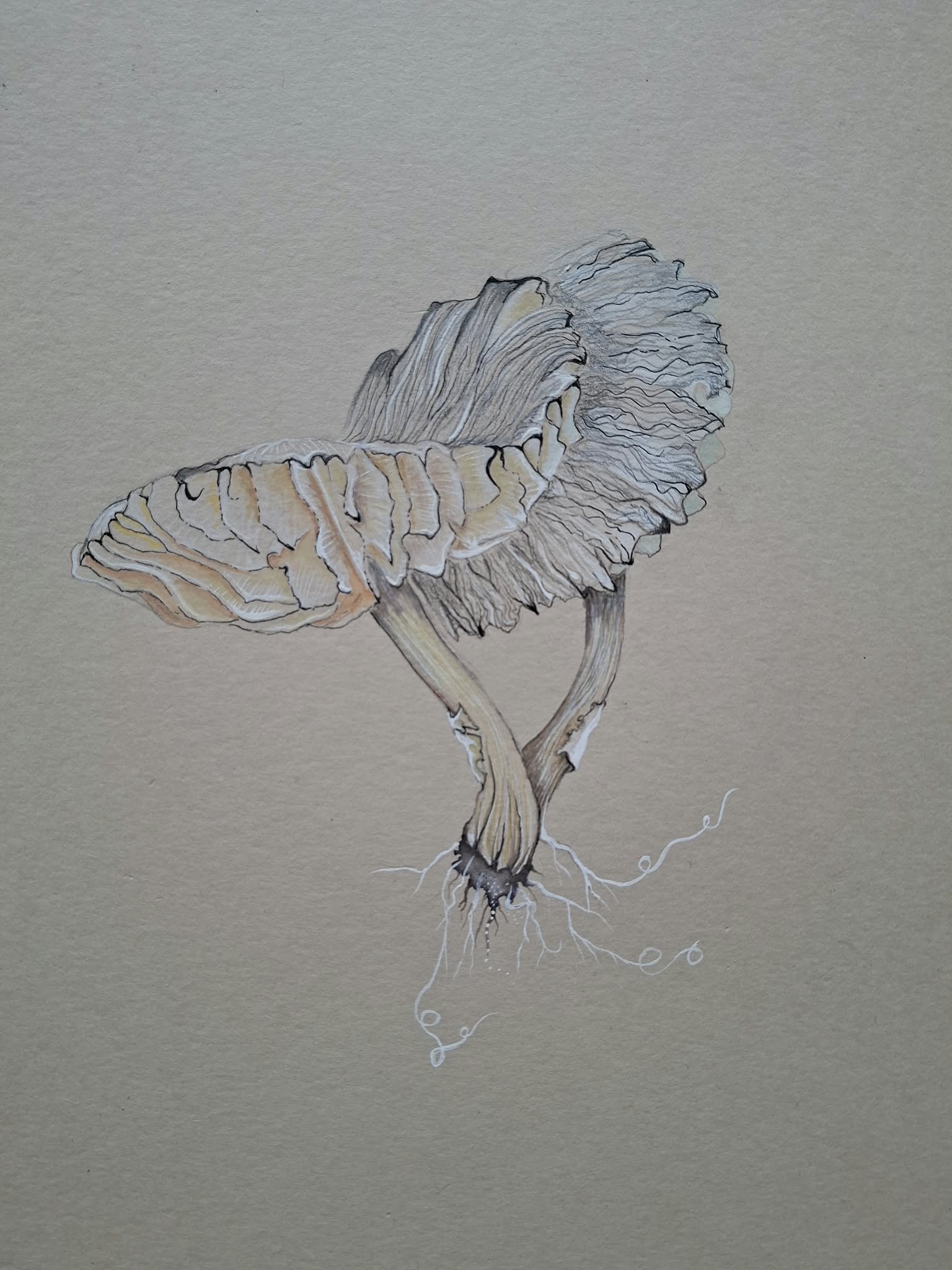 NEW Tutu | Original Artwork | A4 | Fine Point pen, gouache watercolour, coloured wax pencils and pencil. €295 with complimentary basic protective perspex frame.

