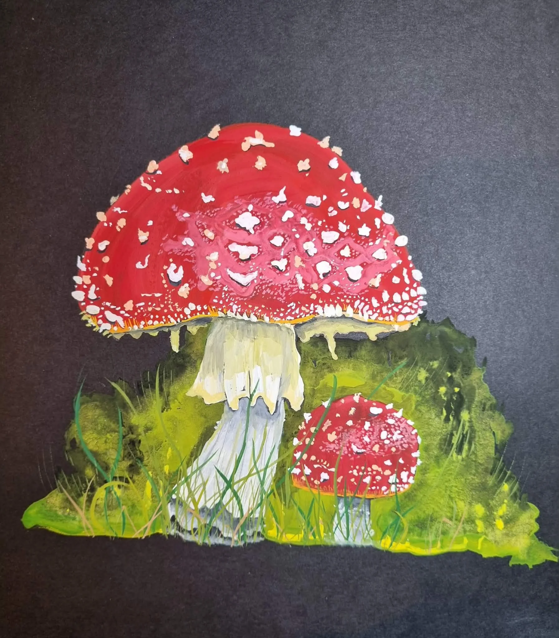 €100 SOLD
A4 Original Mix media Painting

"Fly Agaric"

A vivid red toadstool rises from a luminous bed of moss, its surface scattered with pale markings and soft, dripping edges. Set against a deep black ground, the tried to create an almost electri