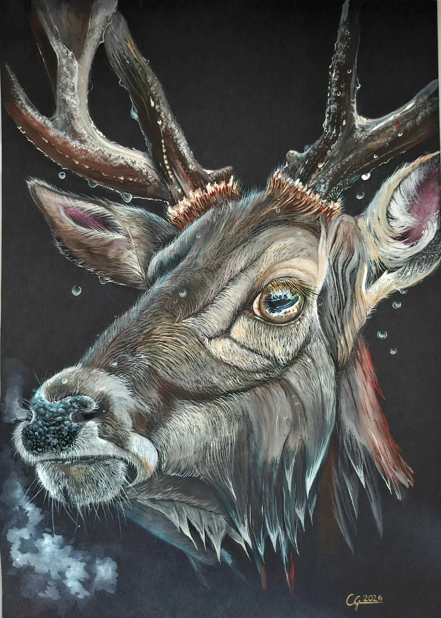 “Fia Rua” (Irish: Red Deer) €575-SOLD 
A3 | Original gouache and coloured pencils on paper.
A stag emerges from darkness, its presence quiet yet commanding. Fine layers of gouache and acrylic capture the texture of fur and antler, while subtle highli