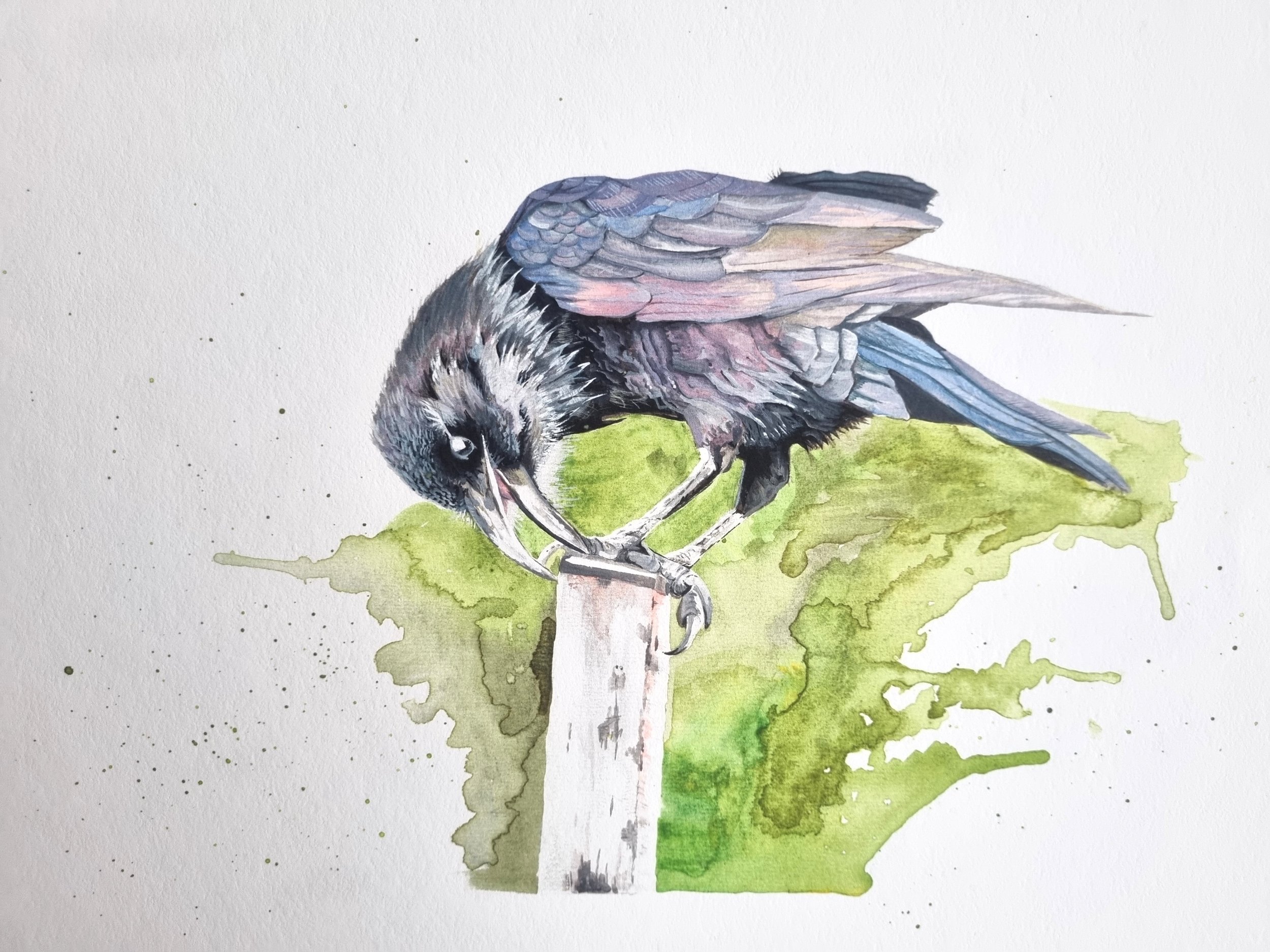 Raven On Post, (Limited Edition Giclee High Quality Print)
