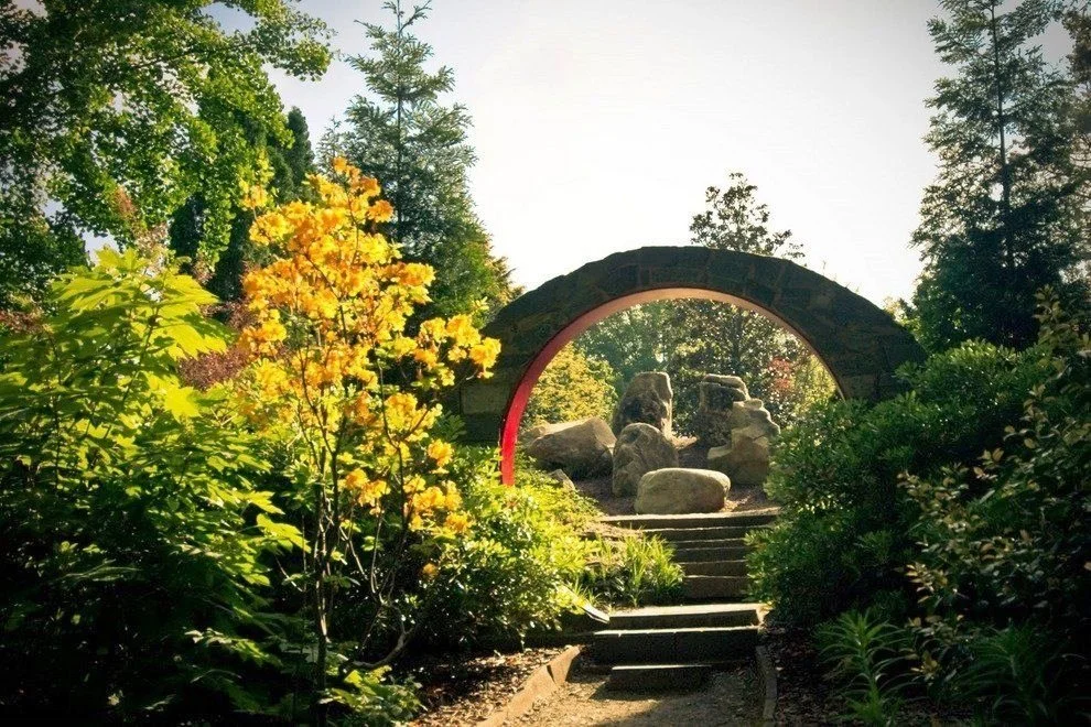 UNC-Charlotte-Botanical-Gardens.jpg