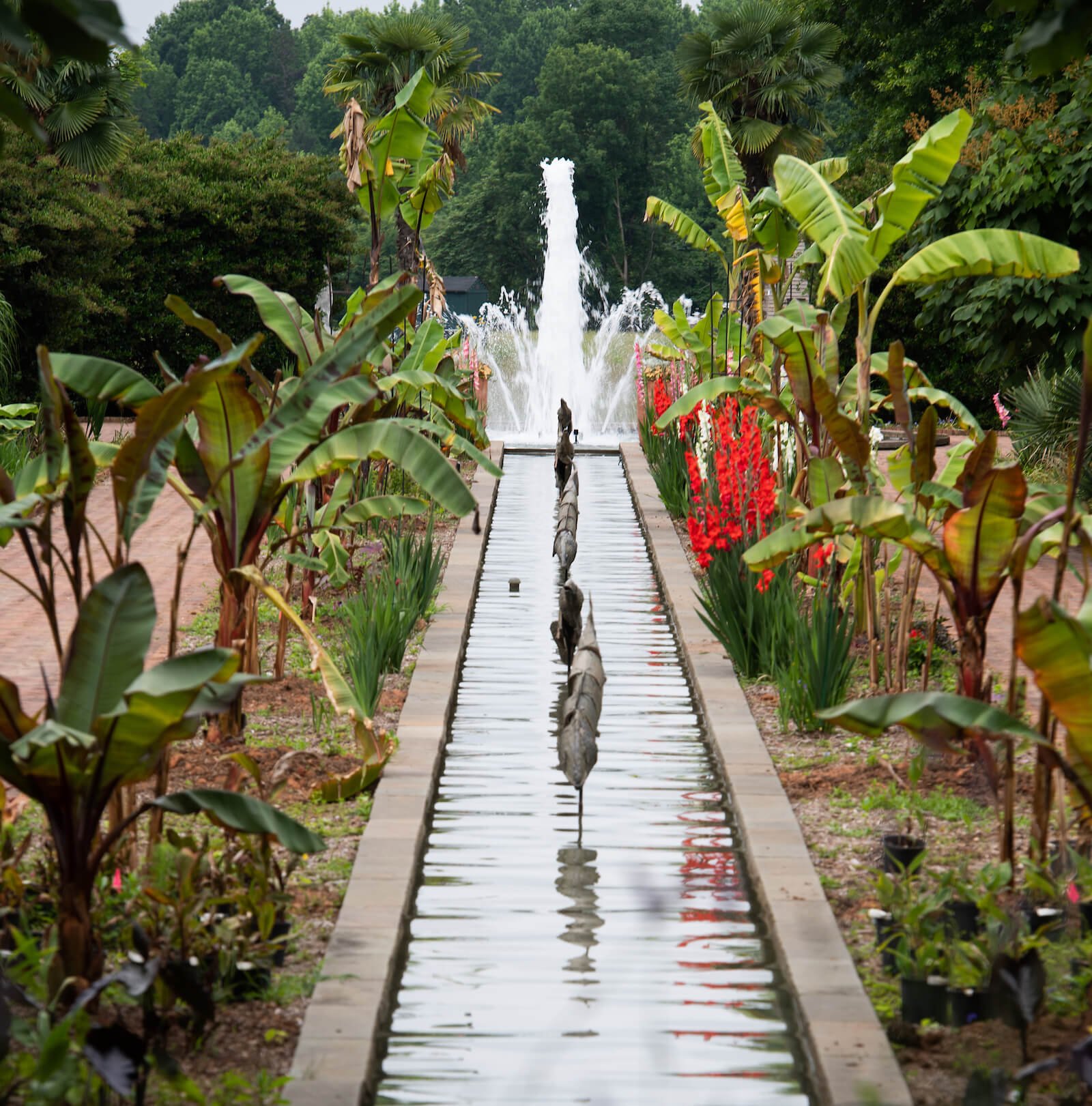 D.S.-BOTANICAL-GARDEN-004-cropped.jpg