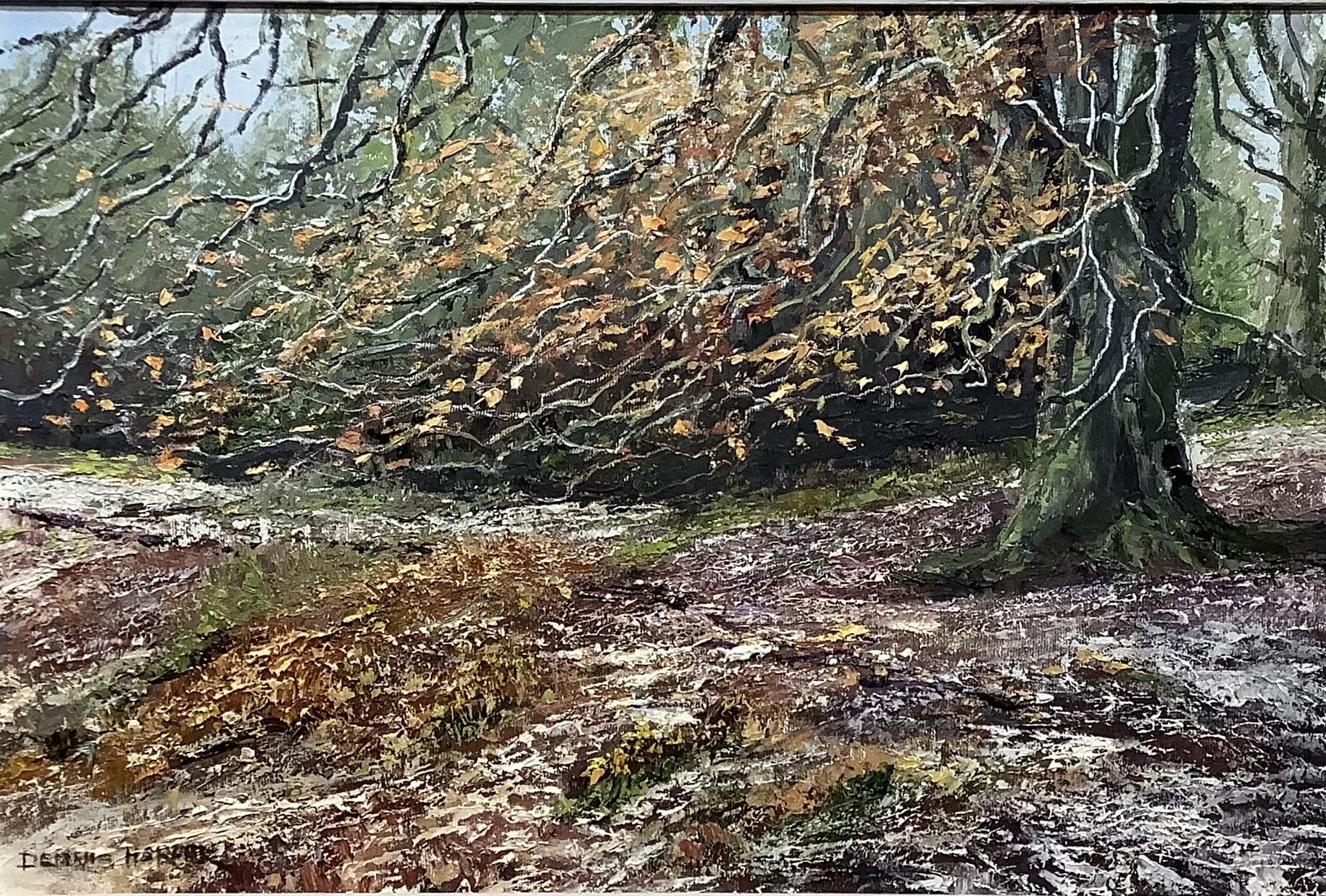 First Frost, Cannock chase