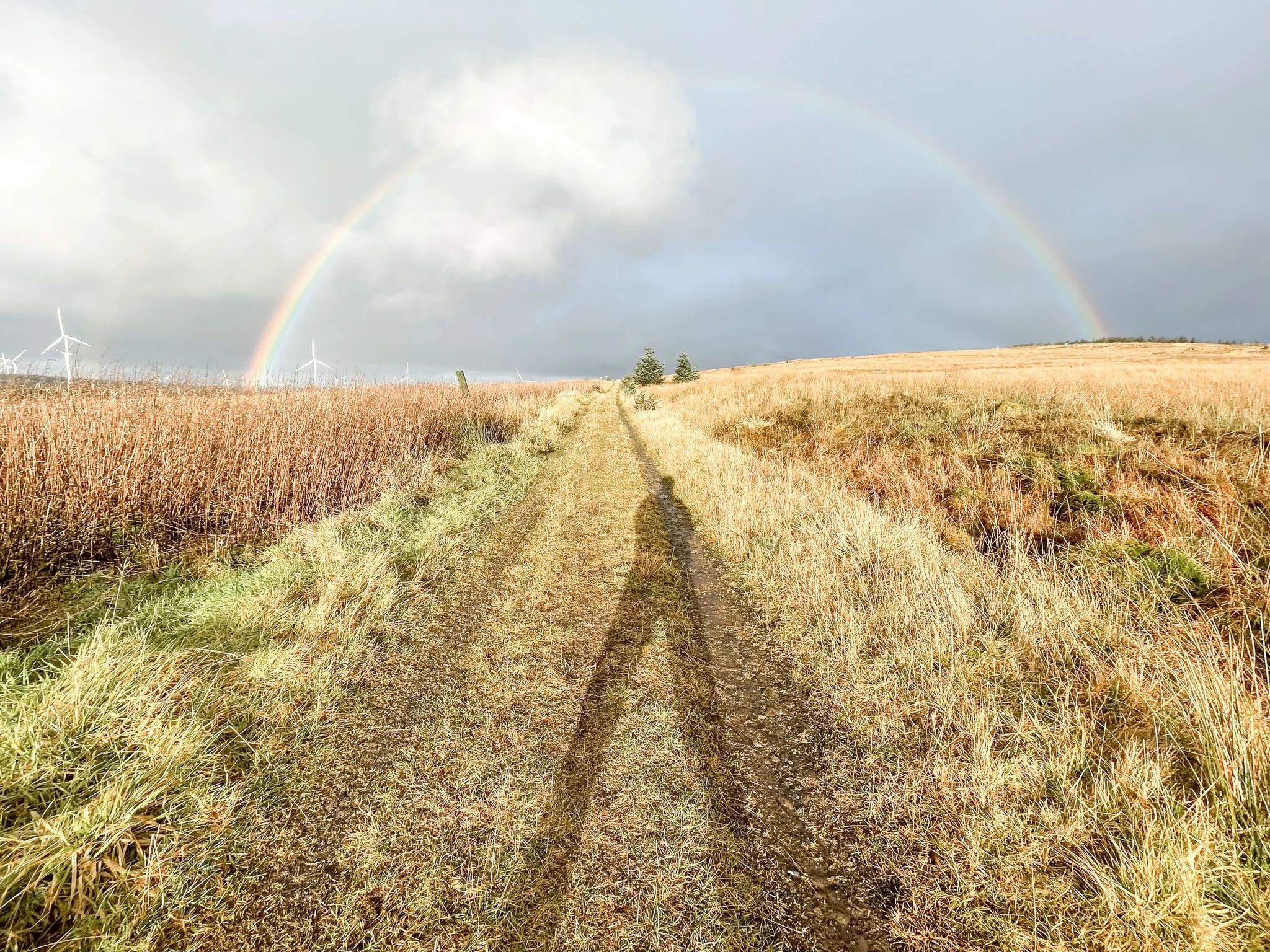 Euan Smith shadow underneath a rainbow