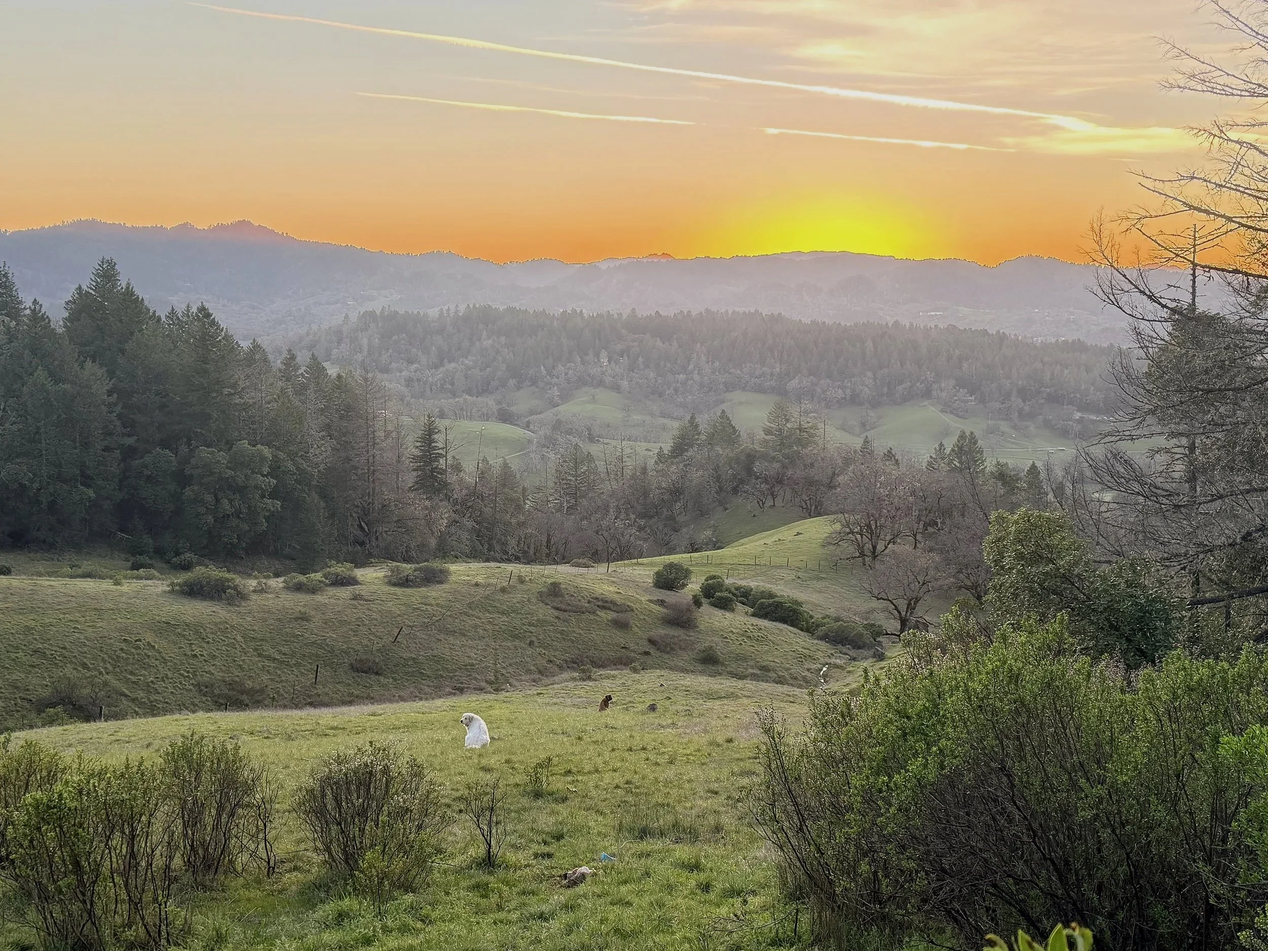 Scenic view of rolling green hills, trees, and distant mountains during sunset with a colorful sky and a few clouds.