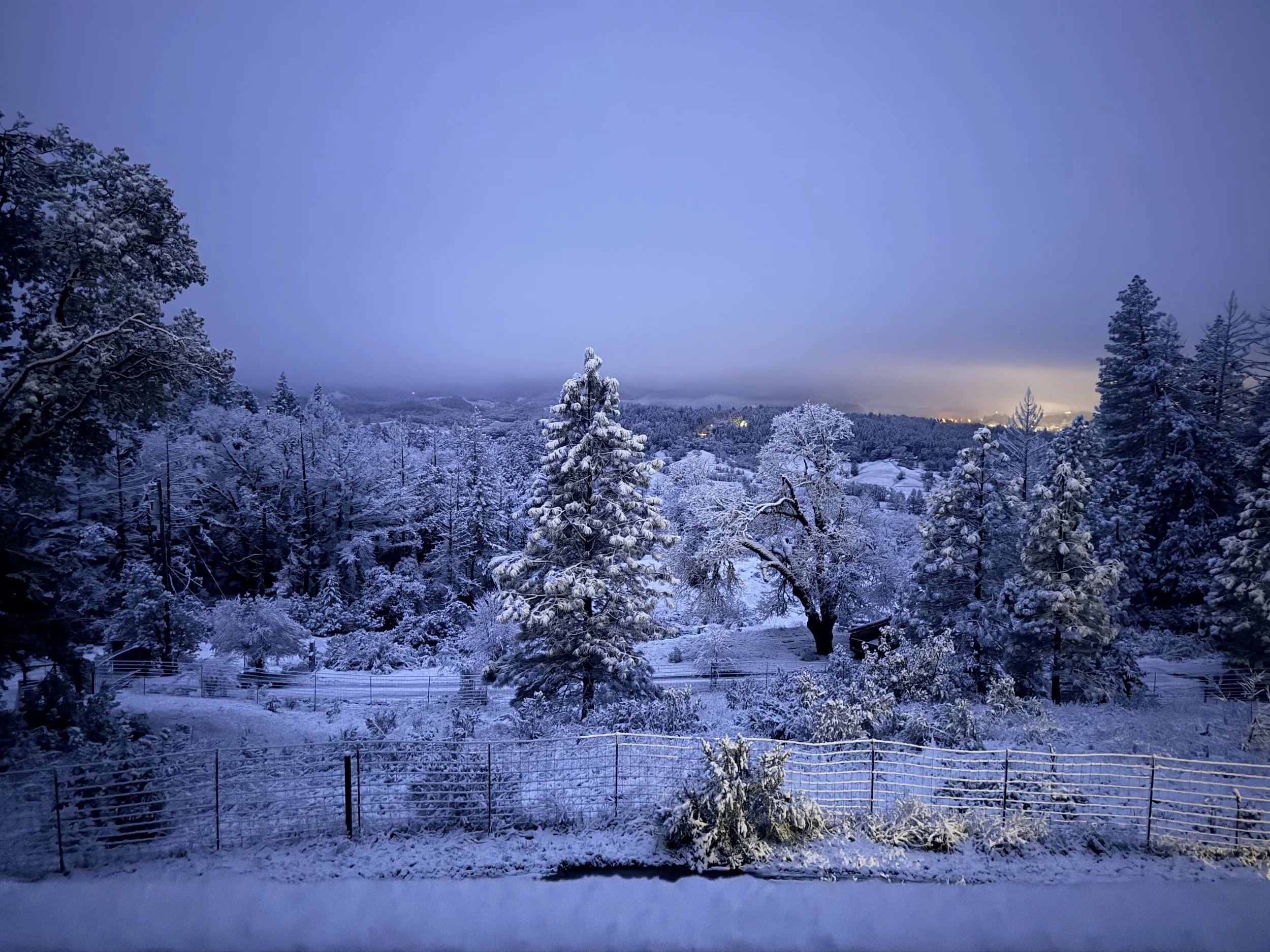 A winter landscape with snow-covered trees, a fence, and a cloudy sky at dusk.