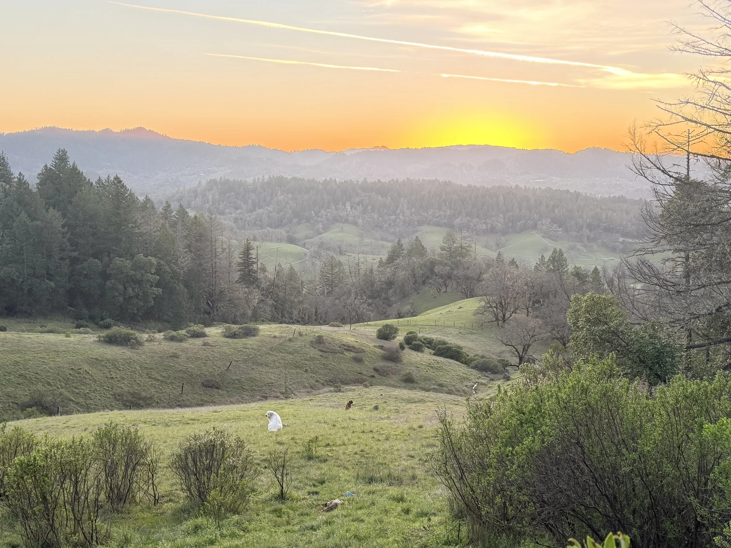 Scenic view of rolling green hills, trees, and distant mountains during sunset with a colorful sky and a few clouds.