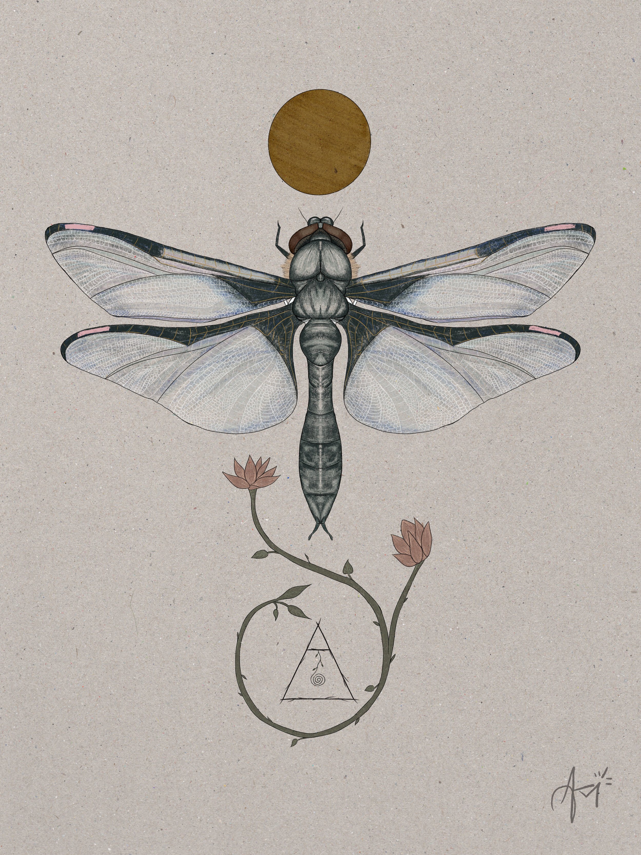 An artistic illustration of a dragonfly with detailed transparent wings, perched on a vine with pink flowers, a small triangle with a spiral inside underneath, and a brown circle above its head on a beige background.
