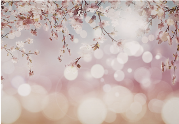Reproductive & Fertility Mental Health