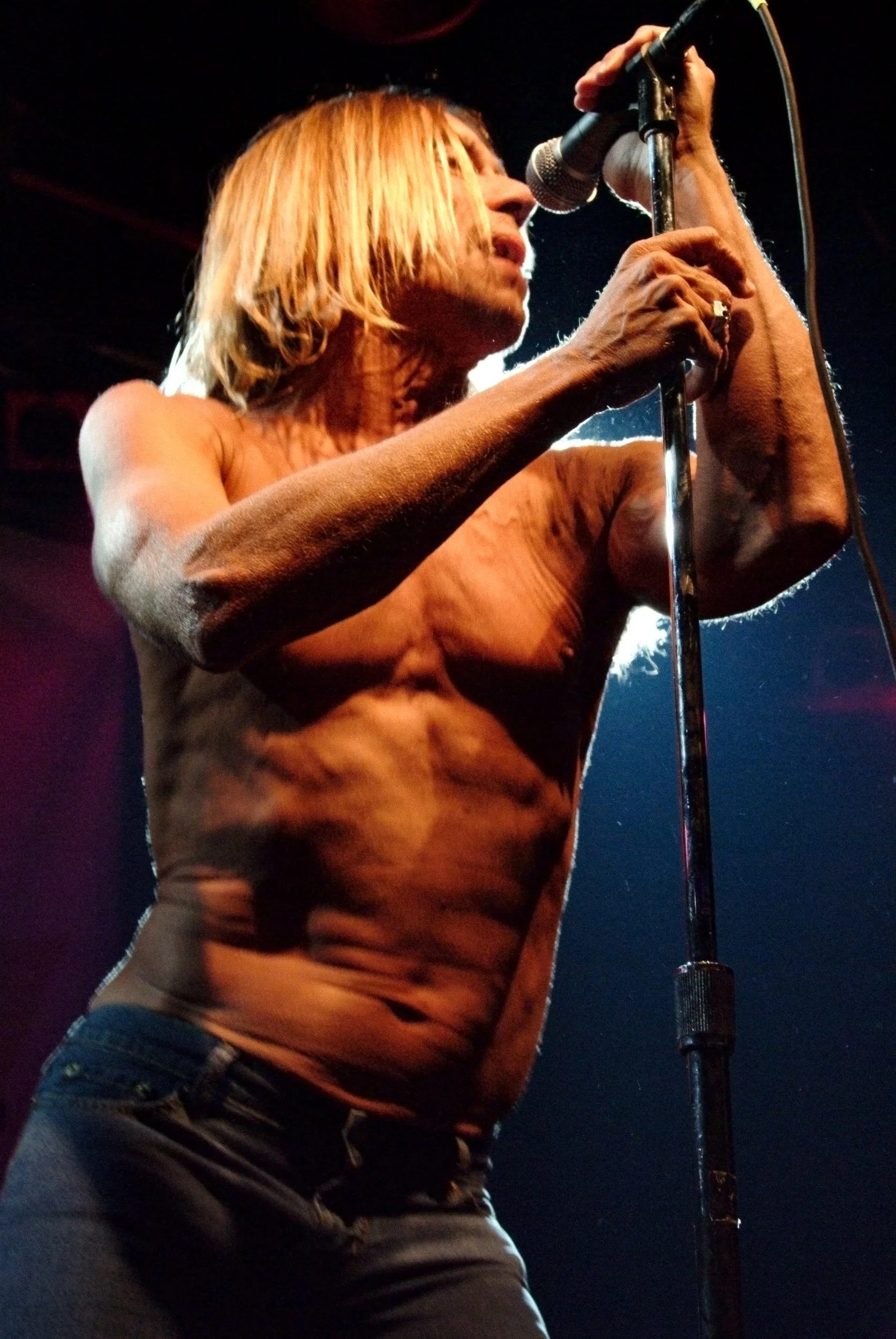 Iggy Pop, 2003