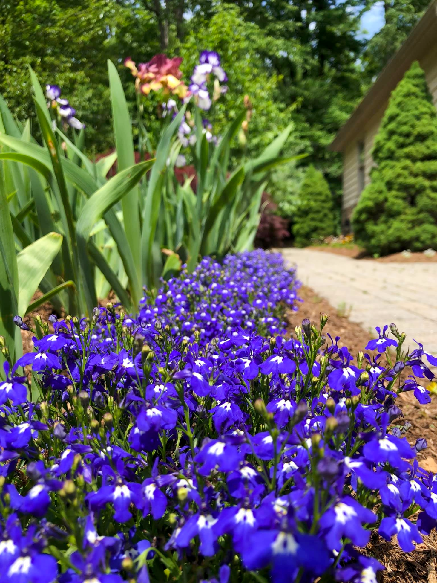 Landscape Design