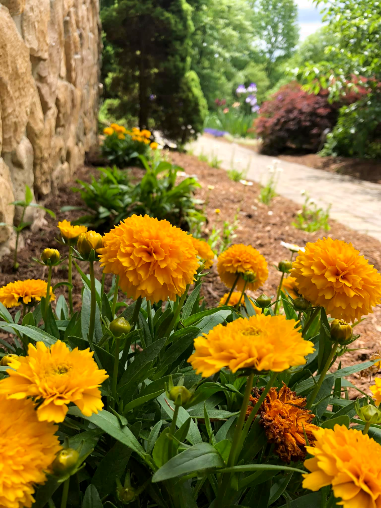Flowerbed Planting