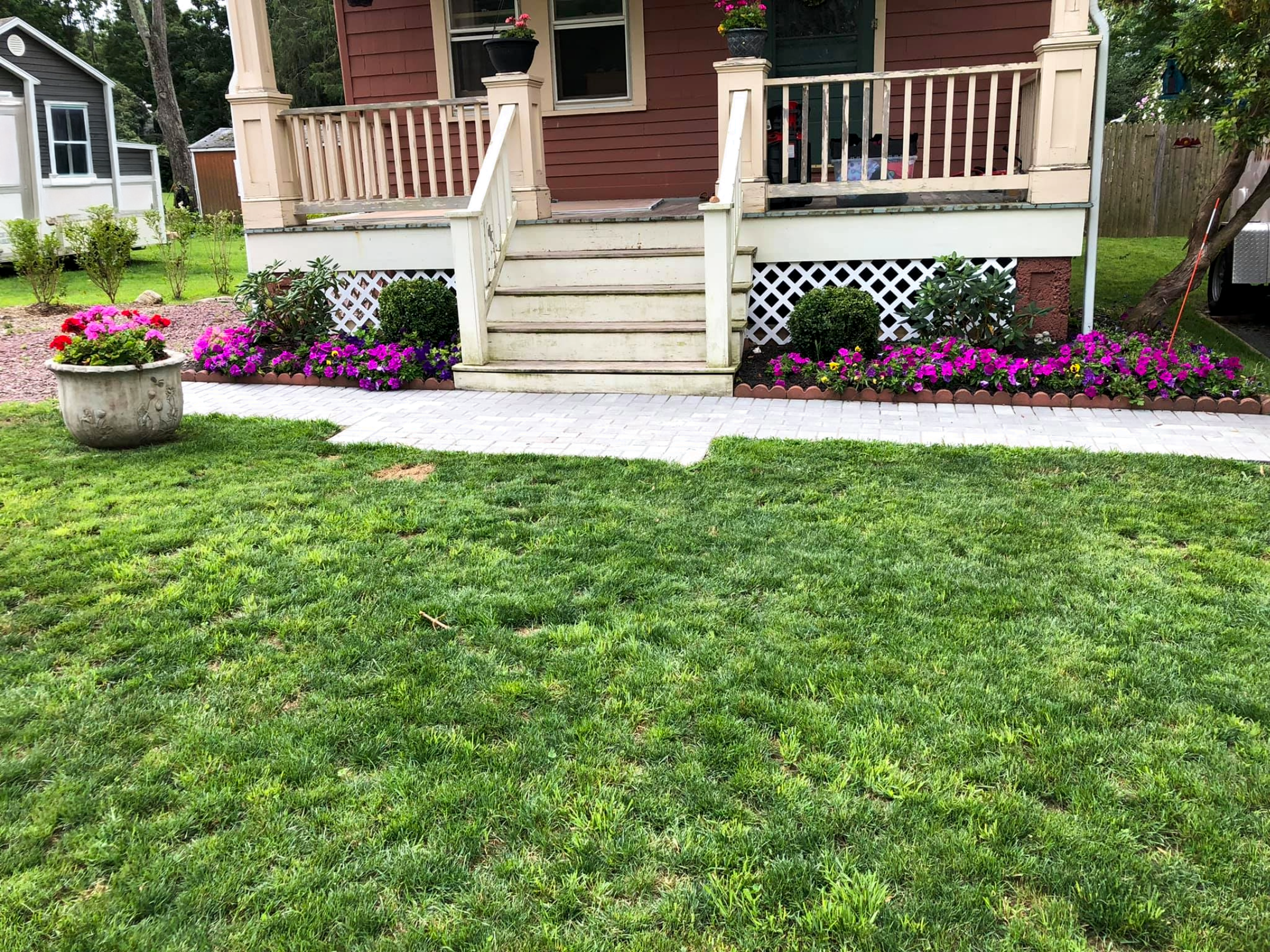 Yard Cleanup & Planting