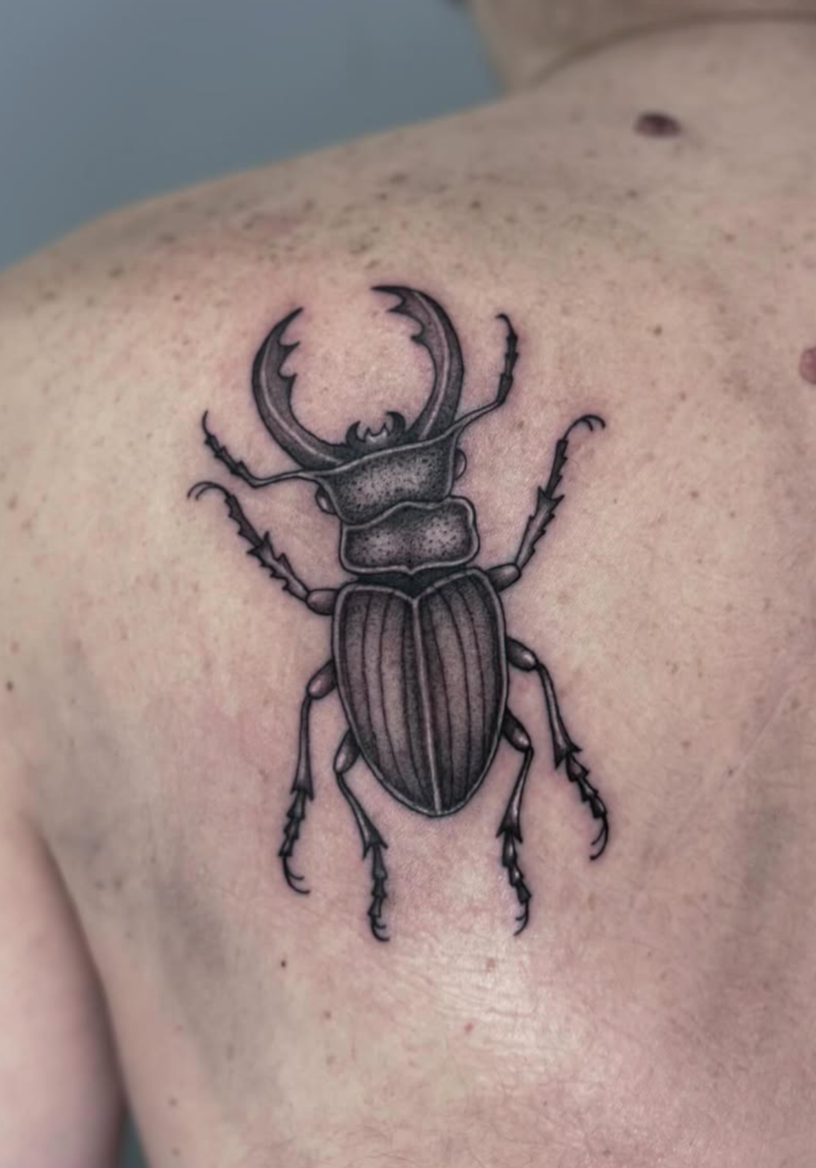 Black and gray tattoo of a beetle on person's shoulder.