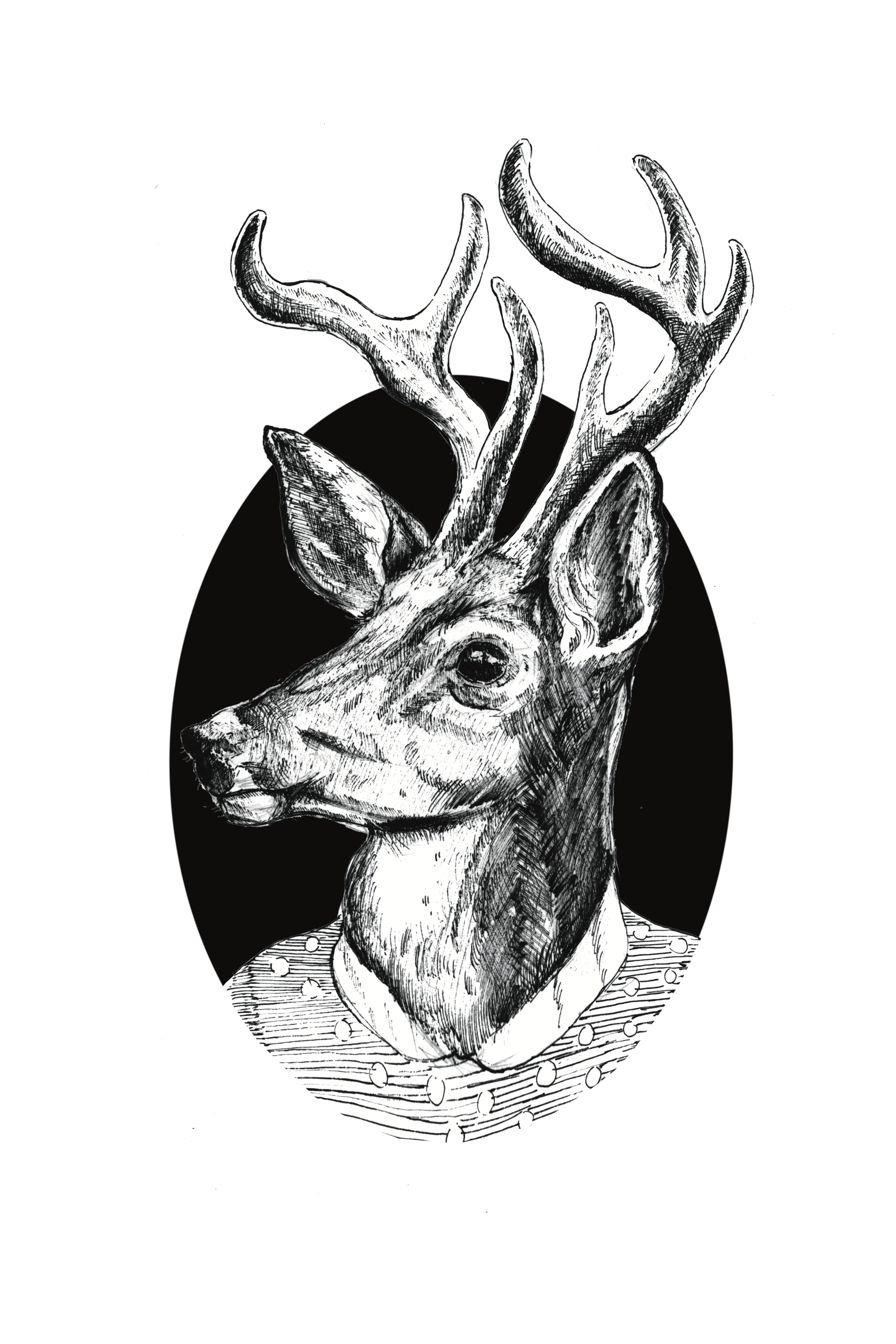 deer resize.png