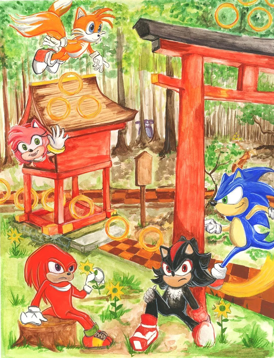 sonic website.jpg