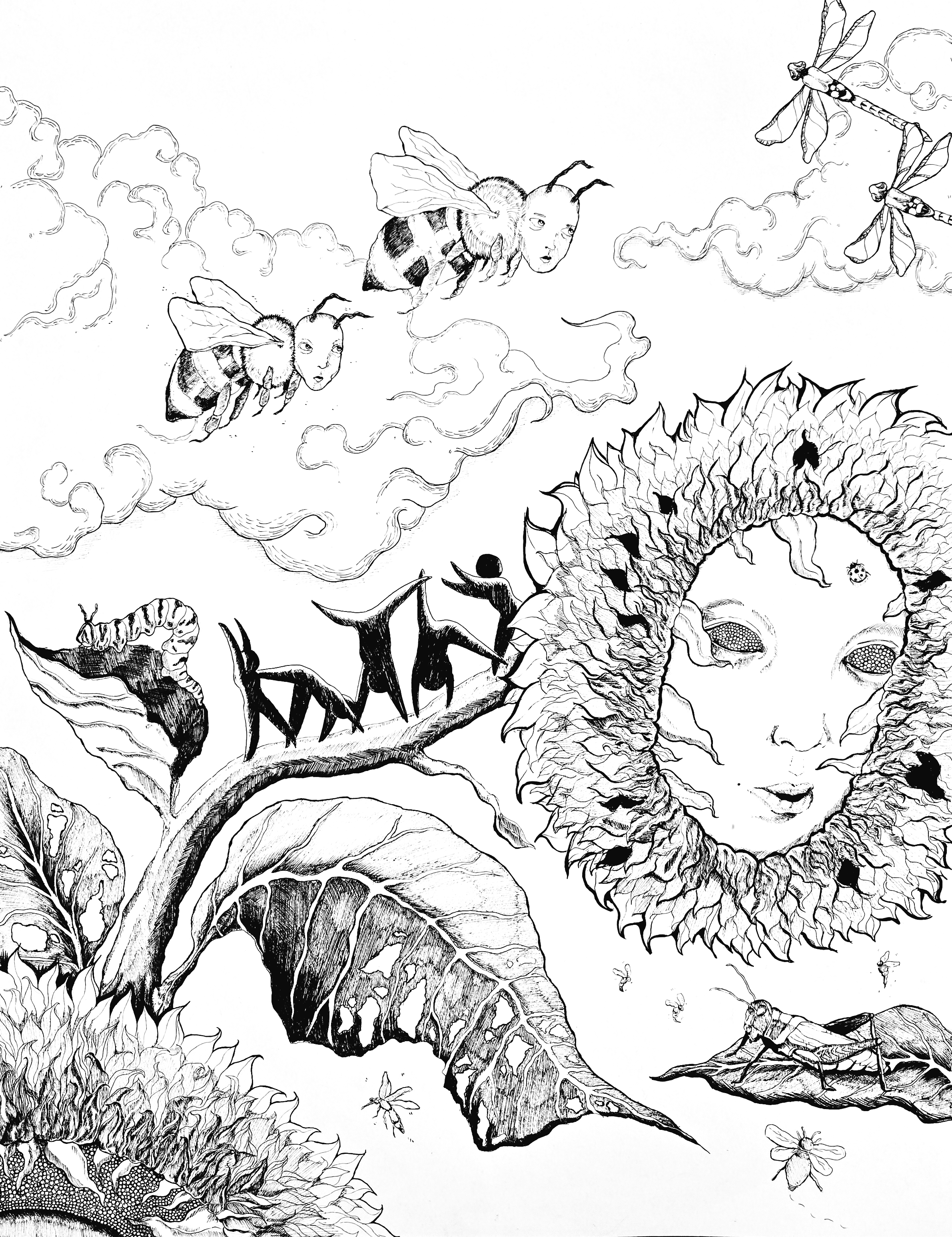 Illustrations