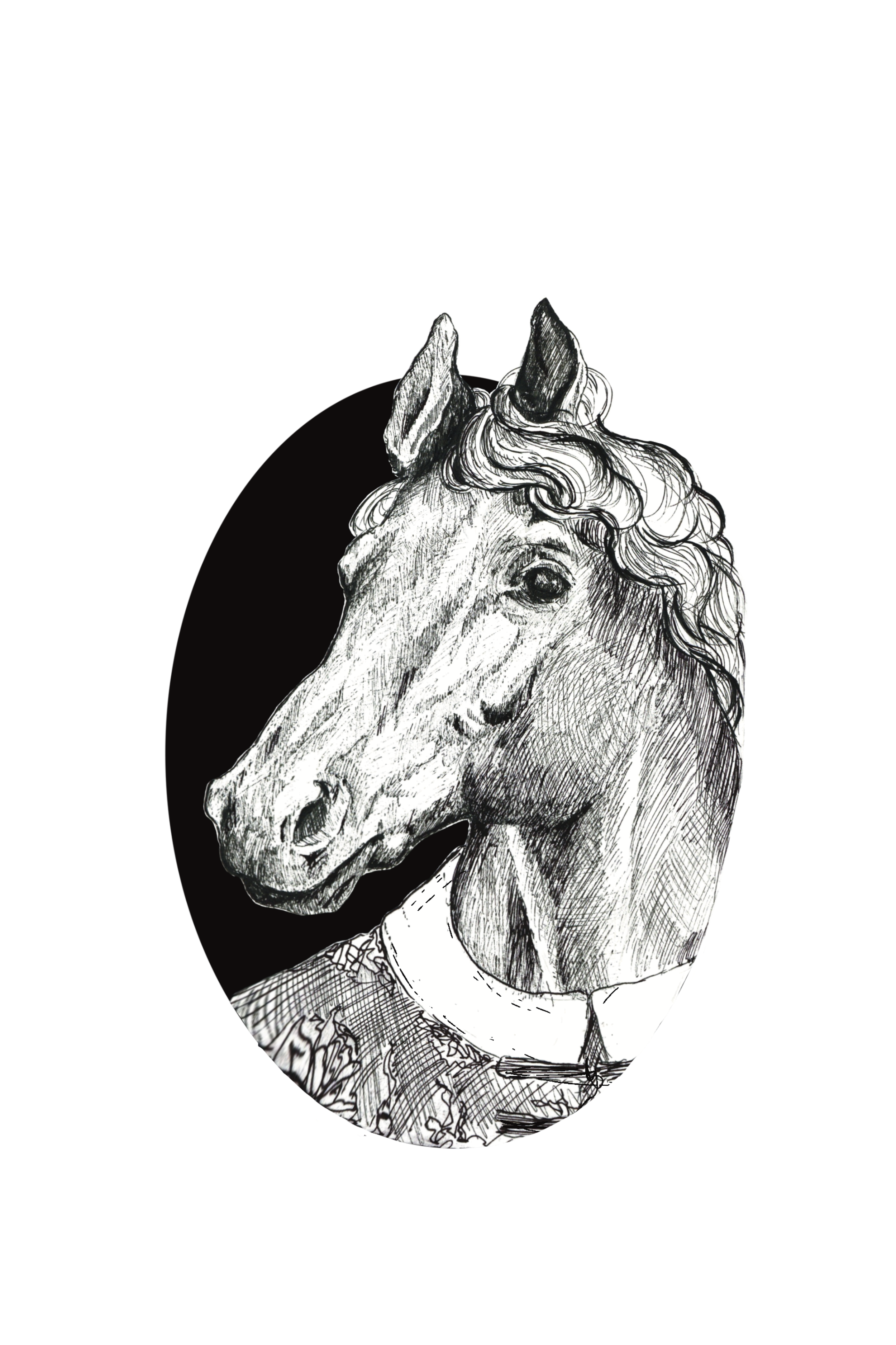 horse resize.png
