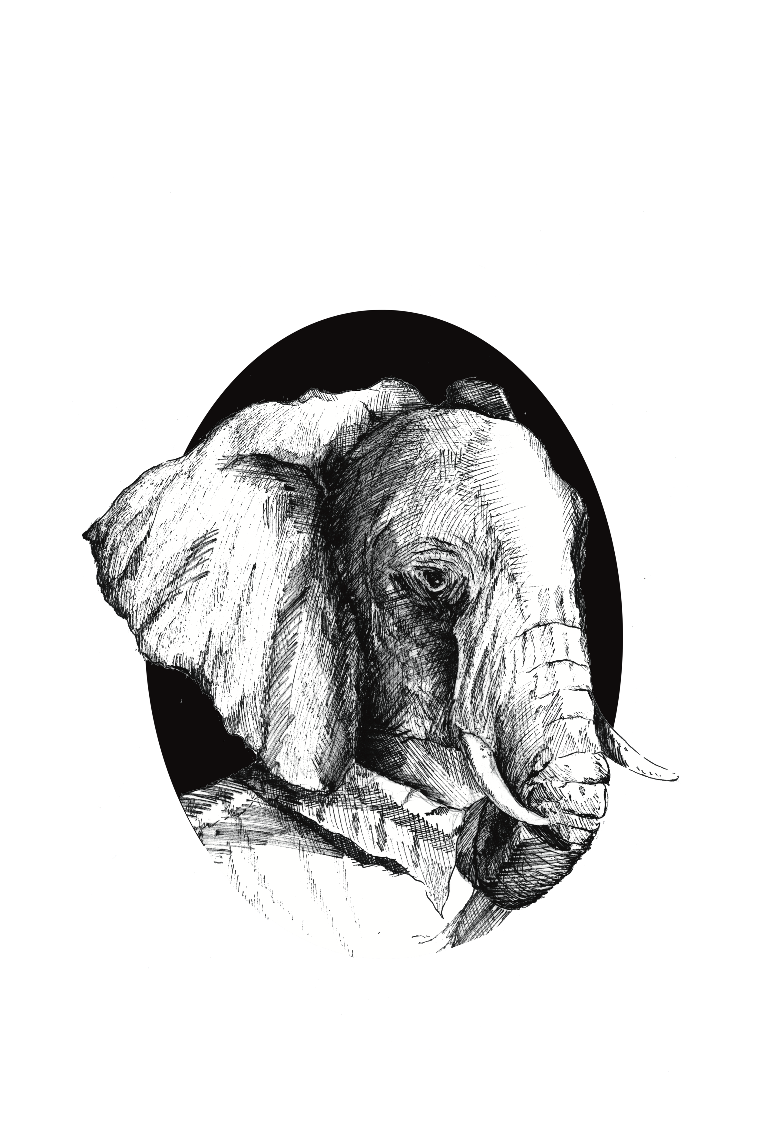 elephant resize.png