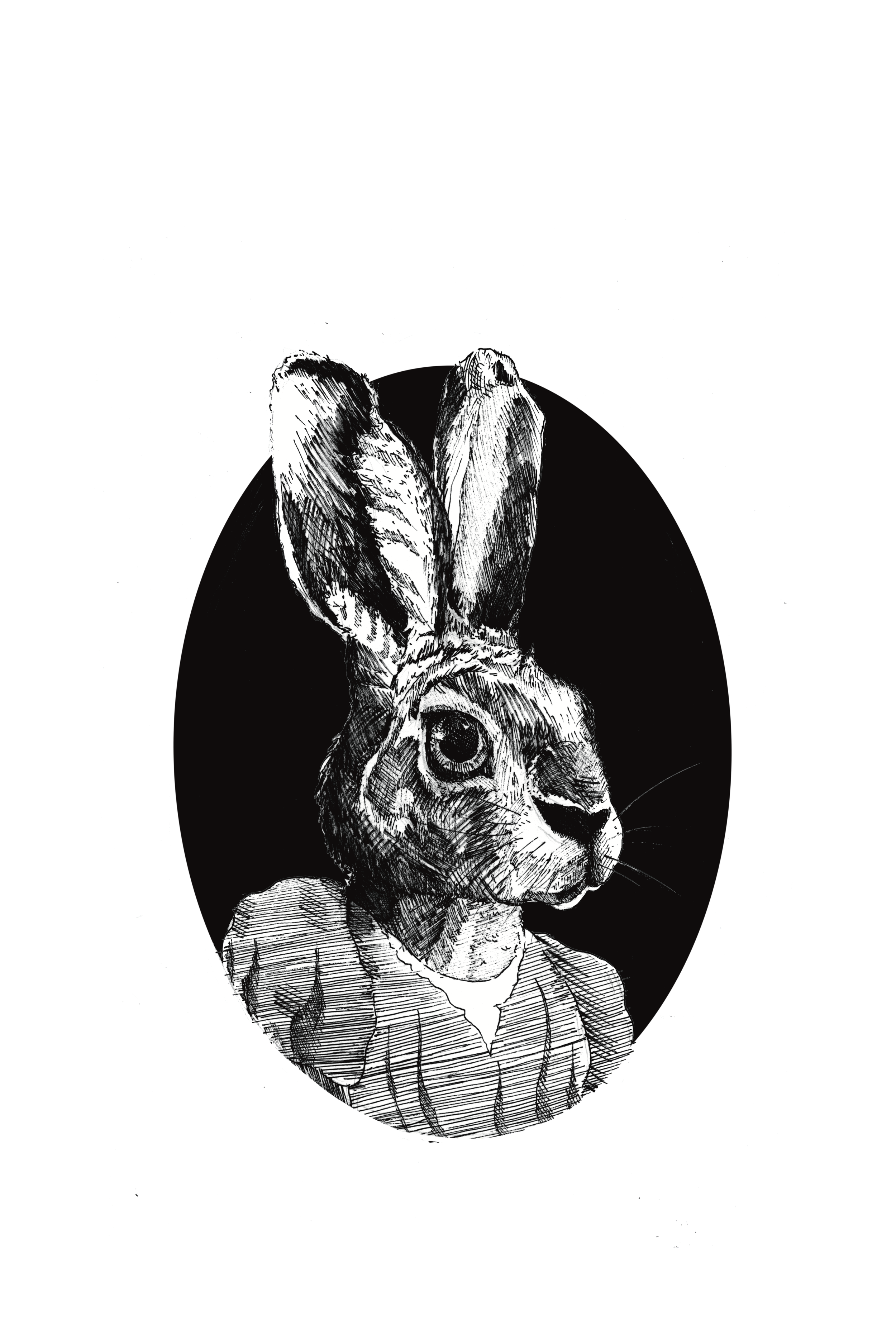 bunny resized.png