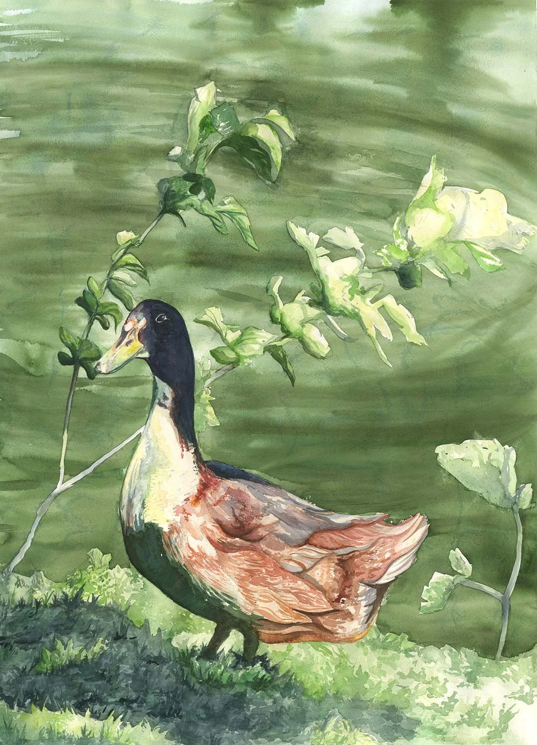 Paintings